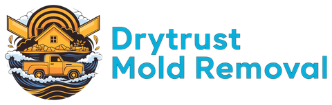 Drytrust Mold Removal
